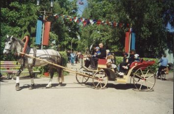 живой транспорт